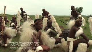 Celebrating Zulu Heritage Through Tribal Dance [upl. by Akirdnuhs]