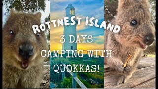 REMARKABLE ROTTNEST Quokka Central [upl. by Aisek552]