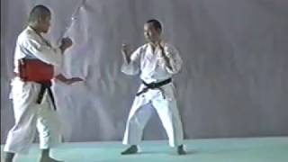 Shorinji Kempo Waza  GYAKU TEN SHIN GERI [upl. by Amalee113]