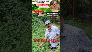 Bhumi Amla ke Chamatkari Fayde  Boost Your Health Naturally [upl. by Nettie]