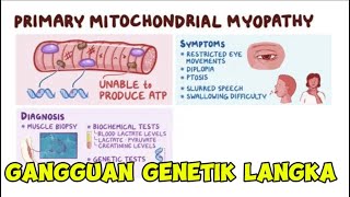 Primary mitochondrial myopathy [upl. by Eelarak]