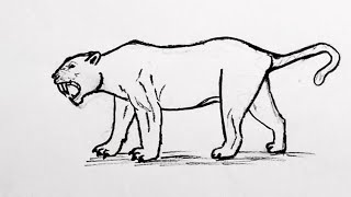 Saber toothed tiger smilodon sketch How to sketch saber toothed tiger smilodon smilodon drawing [upl. by Nnayar]