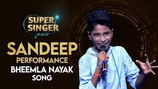 Bheemla Nayak Title Song Performance By Sandeep  SuperSingerJunior  StarMaa [upl. by Yerahcaz]