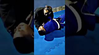 estrangulamento treino jiujiteiros jiujitsu famosos [upl. by Priscilla864]