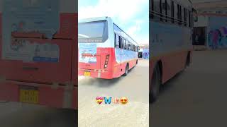 लातूर  कणकवली कणकवली आगारसिंधुदुर्ग विभाग msrtc shortvideo vlogs lalpari लातूर कणकवली [upl. by Ekusuy]