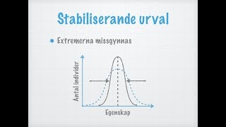 Stabiliserande riktat och disruptivt urval [upl. by Lectra]