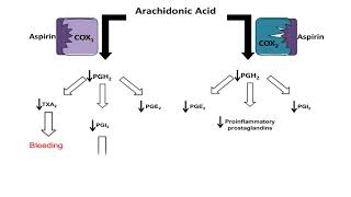 MOAs of Acetaminophen amp NSAIDs  TYLENOL® Professional [upl. by Ledif]