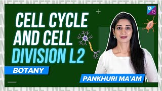 Metaphase Anaphase and Telophase  Cell Cycle and Cell Division Class 11 Biology L2  NEET 2024 [upl. by Kath]