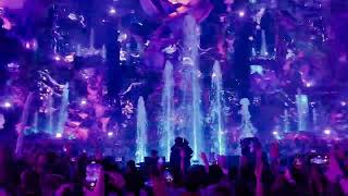 Swedish House Mafia Tomorrowland W2 [upl. by Anayeek]