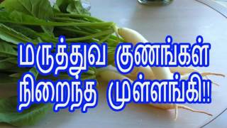 மருத்துவ குணங்கள் நிறைந்த முள்ளங்கி mullangi keerai health benefits in tamil [upl. by Tenom169]