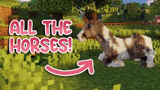 Meet The New Horses  SWEM RP Minecraft [upl. by Docilu]