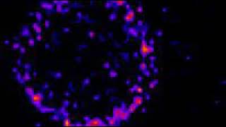 Rapid SNAREMediated Fusion of Liposomes and Chromaffin Granules with Giant Unilamellar Vesicles [upl. by Eboh]