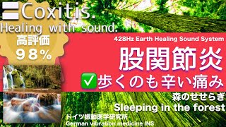 ✅股関節炎 ★歩くのも辛い痛み〓Coxitis Relax amp Healing music with Dr Rife [upl. by Adyht]