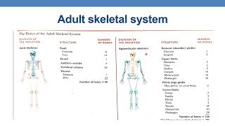 CPT CODING GUIDELINES FOR RADIOLOGY PART 7 BONE amp JOINT STUDIES [upl. by Tham183]