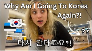 ✈️ 유럽 21세 소녀 혼자 한국 여행 🇰🇷 European 21 Year Old Girl Travel Alone To Korea 🇰🇷  Seoul vlog 서울 브이로그 [upl. by Enaile530]