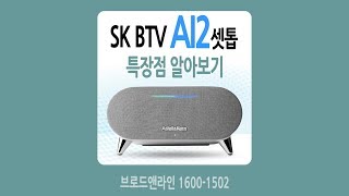 SK브로드밴드 BTV AI2 셋톱박스 특장점 뜯어보기 [upl. by Zamora160]