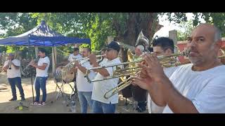 Cancion nereidas banda de guasave sinaloa humberto cota celular 6871176144 [upl. by Melcher]