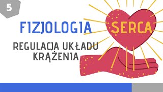 Fizjologia układu krążenia cz 5 Regulacja układu krążenia [upl. by Aem]