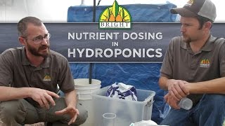 Nutrient Dosing in Hydroponics Systems [upl. by Hollister847]