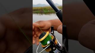 Best fishing reel 😱🔥fishing fishingvideo [upl. by Nonie8]