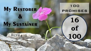 My Restorer amp My Sustainer  100 Bible Promises  16100 [upl. by Hsizan257]