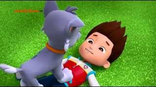 PAW Patrol  Rocky plays with Skye [upl. by Albert]