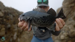 Fishing for Rockfish on the California Coast [upl. by Neitsabes]