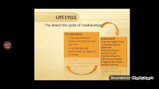 Medical Parasitology lecture 5 Part2 Nematoda [upl. by Dahsar721]