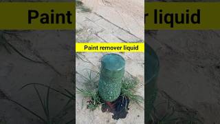 Paint remover liquid shortvideo shorts short [upl. by Elmajian]