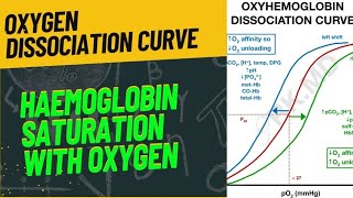 OXYGEN DISSOCIATION CURVE  FULLY EXPLAINED  neet2024 biology zoology respiration [upl. by Aisatsana869]