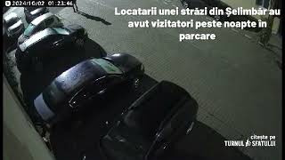 Locatarii unei străzi din Șelimbăr au avut vizitatori peste noapte în parcare [upl. by Trevah115]