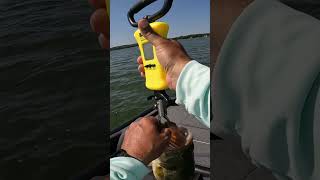 Big Bass 10 Buffalo Lake kistlerrods 6thsensefishing bassfishing [upl. by Gibson]