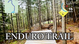 Enduro Bike Track High Tide Rockwood Park Mountain Biking Awsome Trail Saint John New Brunswick [upl. by Haelak]