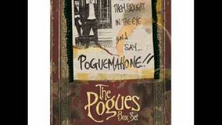 The Pogues  Sally Maclennane John Peel Show [upl. by Bekaj856]