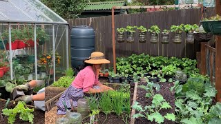 How to Plant Kale at Home 🌱 ได้เวลาปลูกเคลแล้วค่ะ🌱🌱 [upl. by Esela]