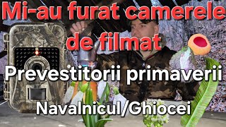 Prevestitorii primaverii Ciuperci și planteMiau furat camerele video [upl. by Duwe]