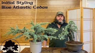 Creating Bonsai With Yamadori Scots Pine by Graham Potter [upl. by Drogin]