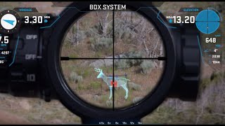 How to Use BDX Riflescopes and Rangefinders [upl. by Rhetta315]