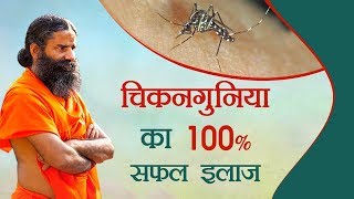 चिकनगुनिया का 100 सफल इलाज  Swami Ramdev [upl. by Yddeg]