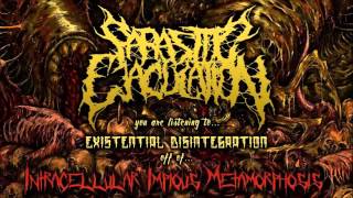 Parasitic Ejaculation  Existential Disintegration NEW SONG 2016 [upl. by Eurydice678]