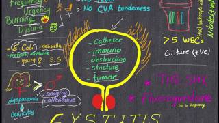 Cystitis Review in 4 minutes All you need to know [upl. by Iridissa141]