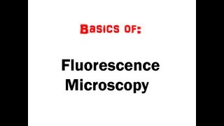 Fluorescence Microscopy in 5 mins HD [upl. by Godart267]