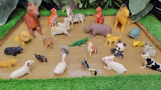 Mud Madness Mission Domestic and Farm Animals in the Sandbox Adventure 🐵🦓 [upl. by Mildrid]