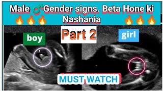 MALE GENDER SIGNS PART 2😎🔥 I BETA HONE KI NISHANIA IN URDU AND HINDI I [upl. by Hourigan]