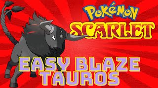 Where To Find Blaze Tauros Pokemon Scarlet Easy [upl. by Lombardo520]