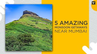 5 Amazing Monsoon Getaways Near Mumbai  Veena World [upl. by Nnyleak753]