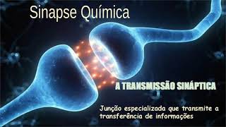 Sinapse Química  Como Ocorre  Transdução do sinal  Transmissão Sináptica [upl. by Enavi808]