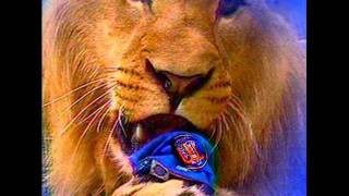 LEONES DEL CARACAS CAMPEONES [upl. by Shelly]