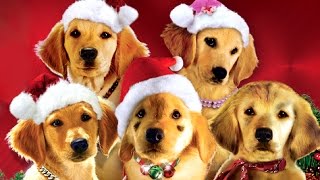 Navidad con los Buddies En busca de Santa Can Trailer español [upl. by Dielle]