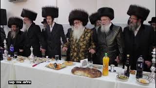 Sheva Brochos For Sanz Rebbes Granddaughter  Tammuz 5784 [upl. by Iborian]